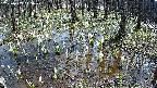 mizubasho2-20250409115029.jpg