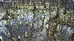 mizubasho2-20250409122029.jpg