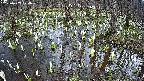 mizubasho2-20250409124031.jpg