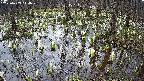 mizubasho2-20250409144028.jpg