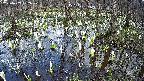mizubasho2-20250409152030.jpg