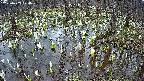 mizubasho2-20250409174027.jpg