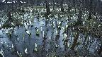 mizubasho2-20250409182029.jpg