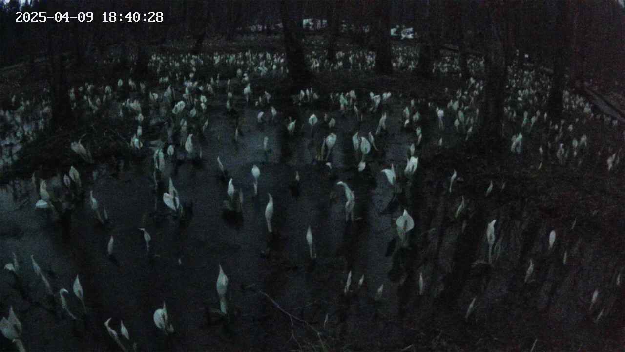 mizubasho2-20250409184029.jpg