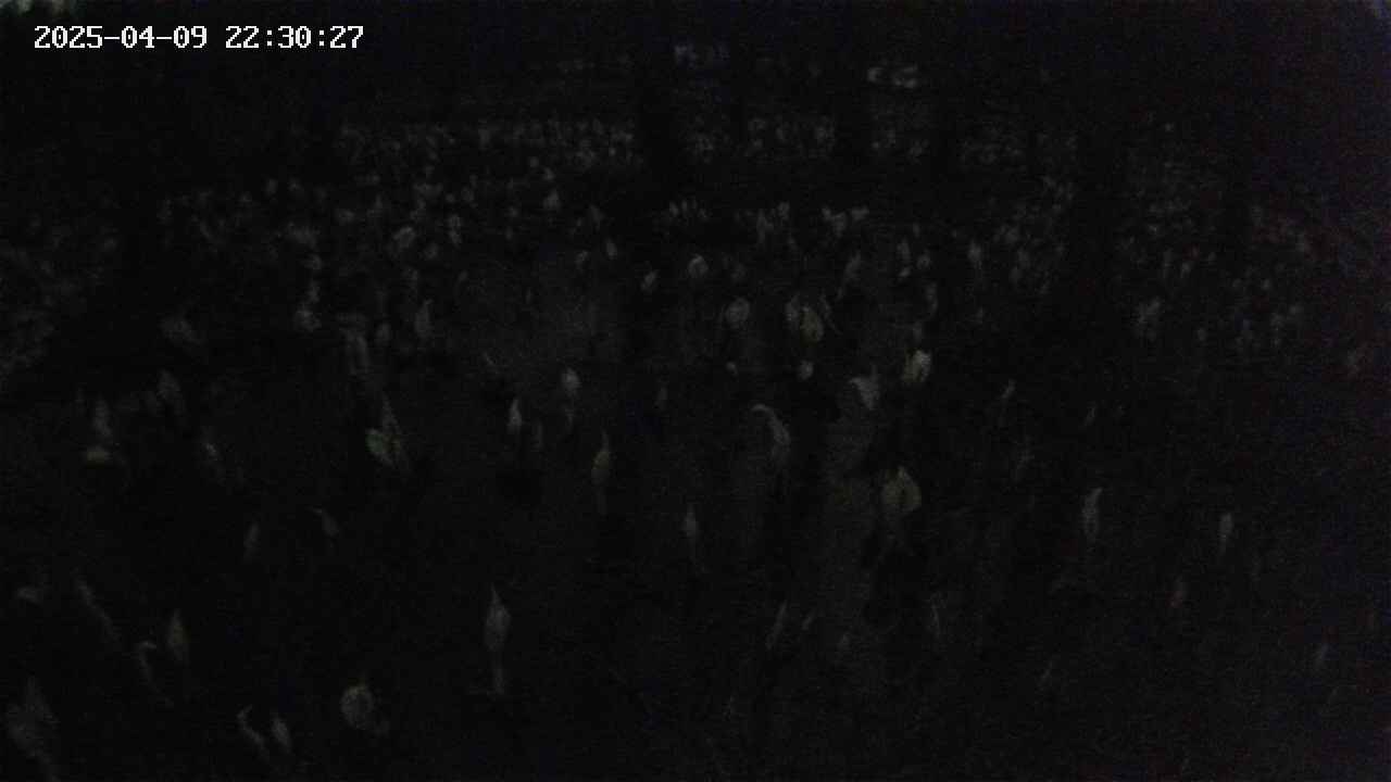mizubasho2-20250409223028.jpg