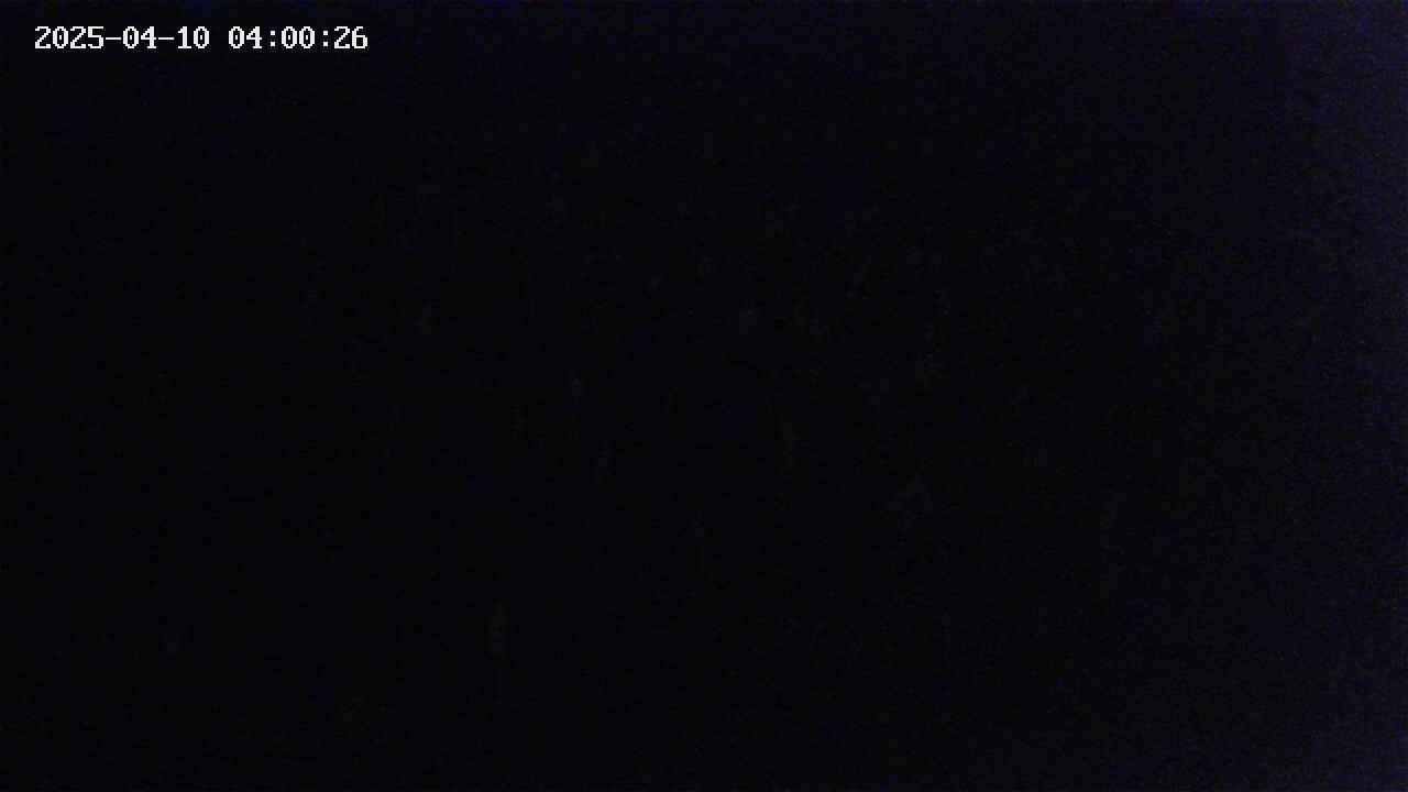 mizubasho2-20250410040027.jpg