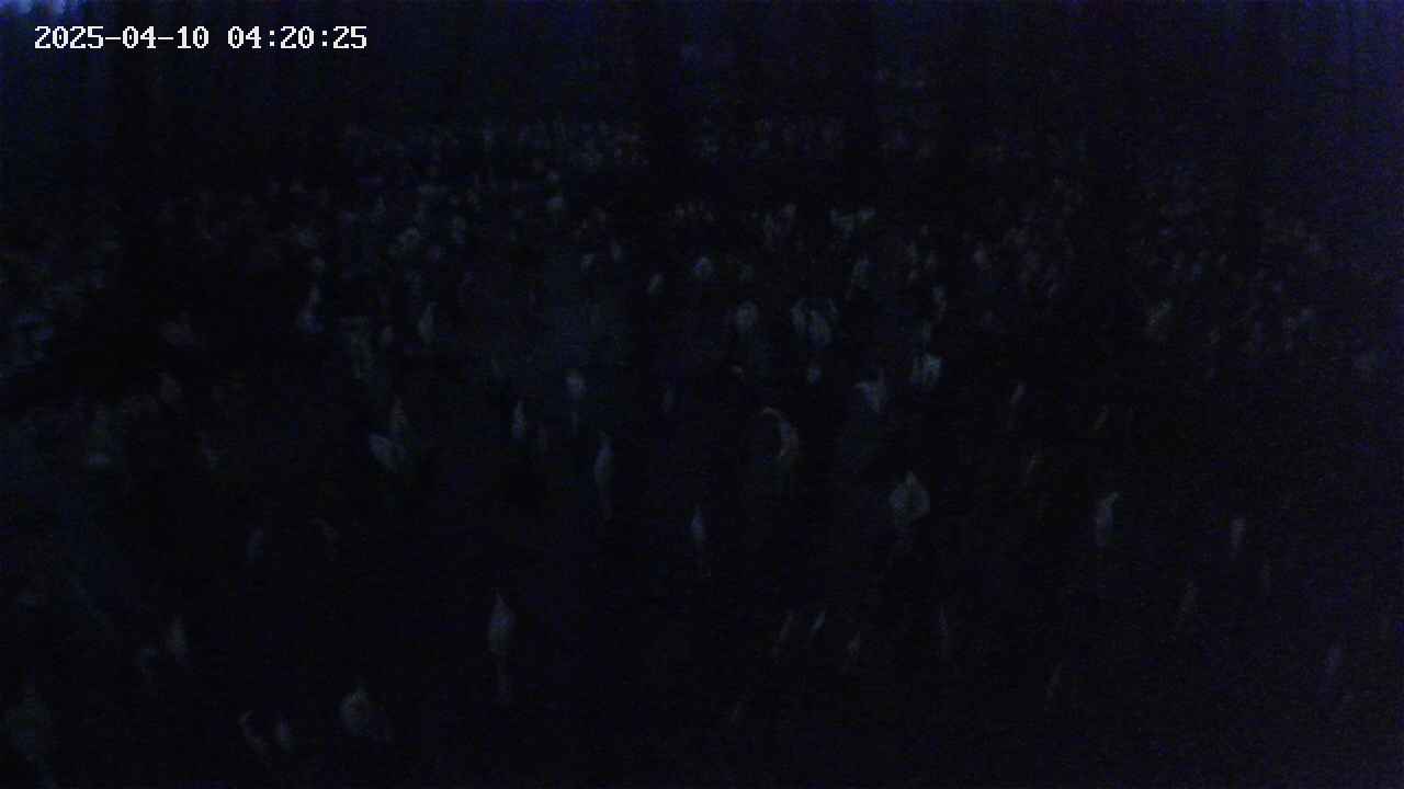 mizubasho2-20250410042026.jpg