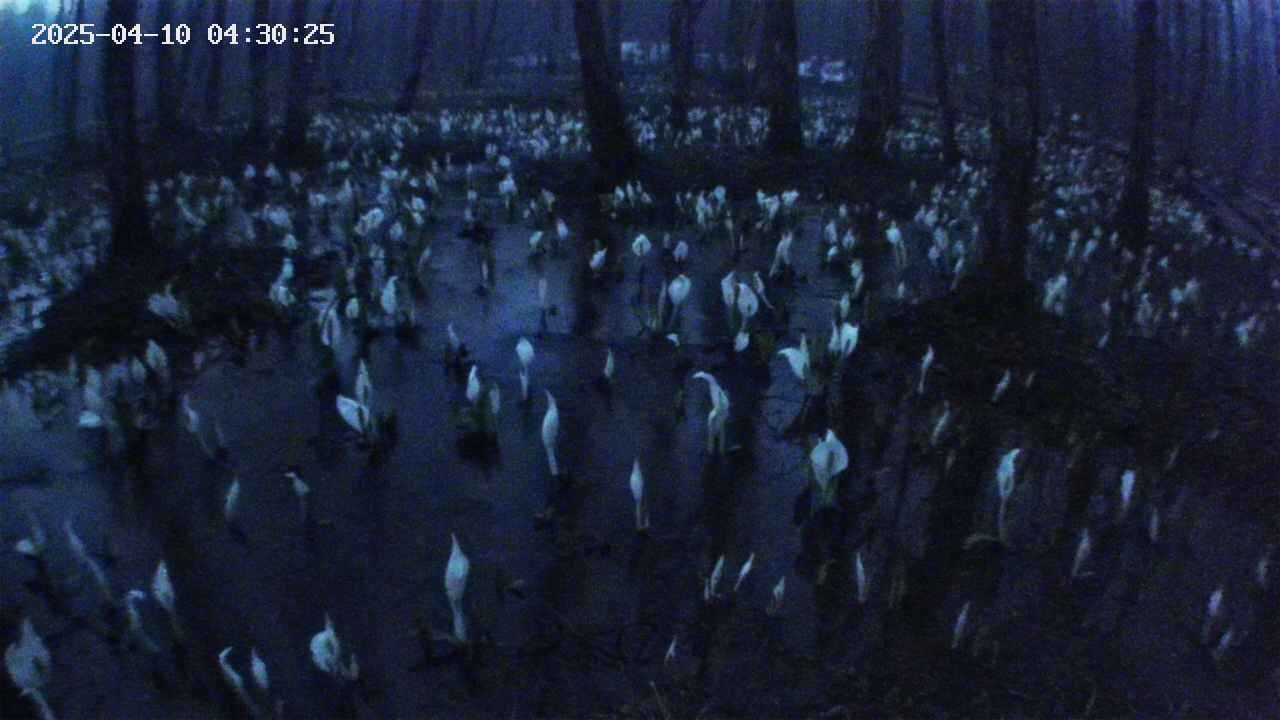 mizubasho2-20250410043026.jpg