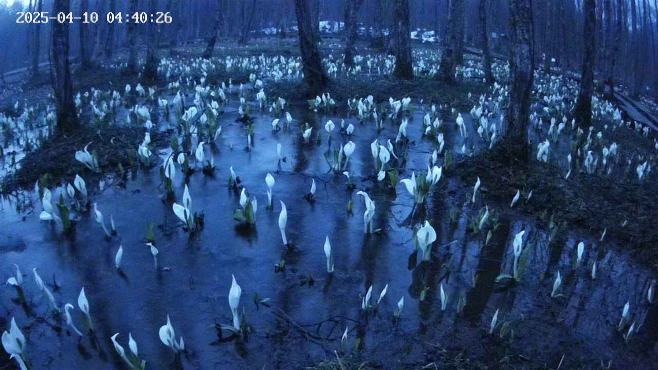 mizubasho2-20250410044028.jpg