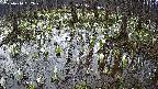 mizubasho2-20250410062031.jpg