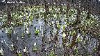 mizubasho2-20250410104029.jpg