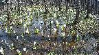 mizubasho2-20250410130029.jpg