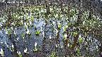 mizubasho2-20250410144028.jpg