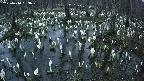 mizubasho2-20250410183027.jpg