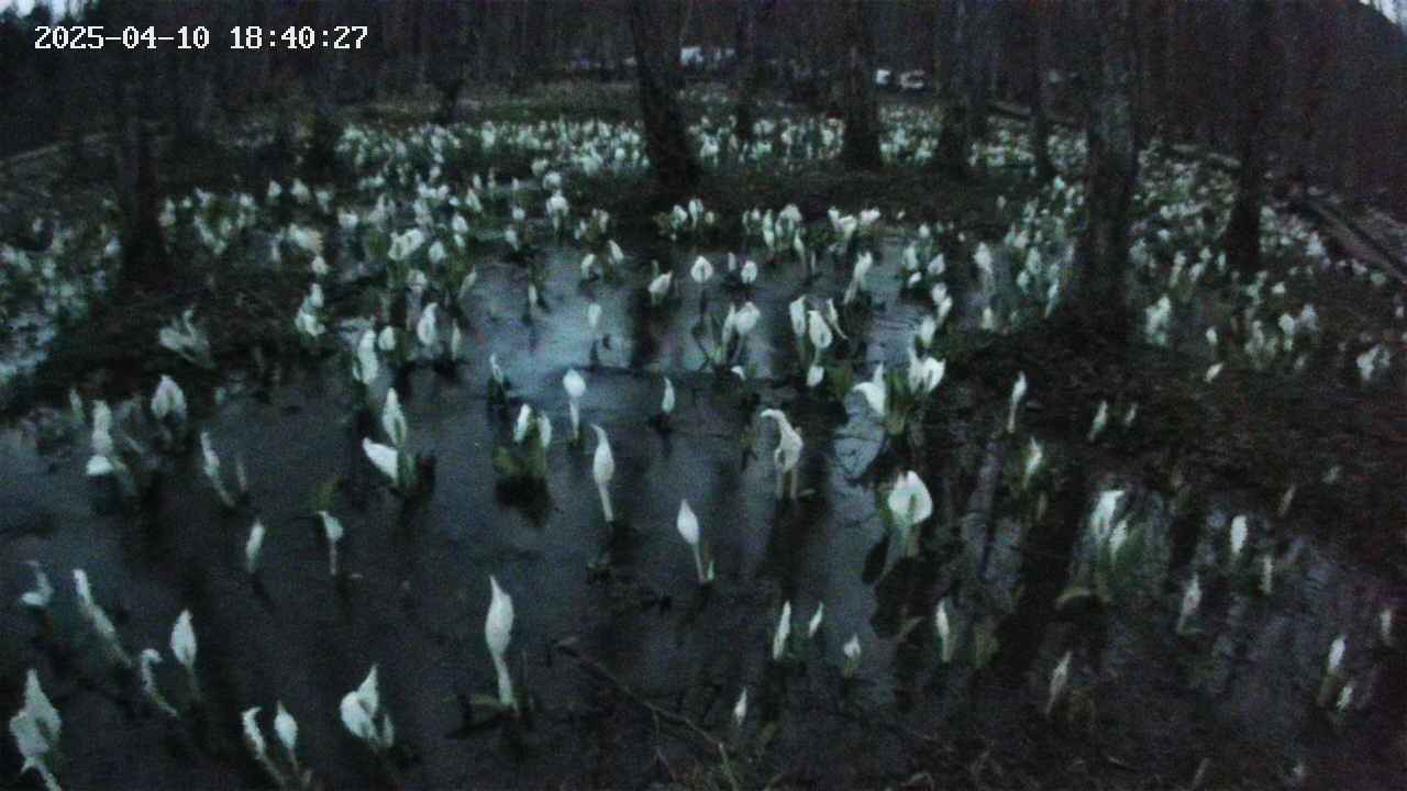 mizubasho2-20250410184029.jpg