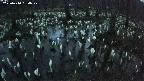mizubasho2-20250410184029.jpg