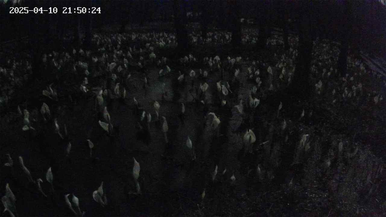 mizubasho2-20250410215025.jpg