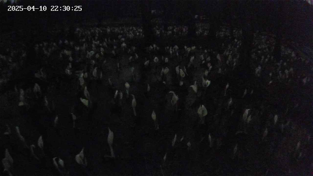 mizubasho2-20250410223026.jpg