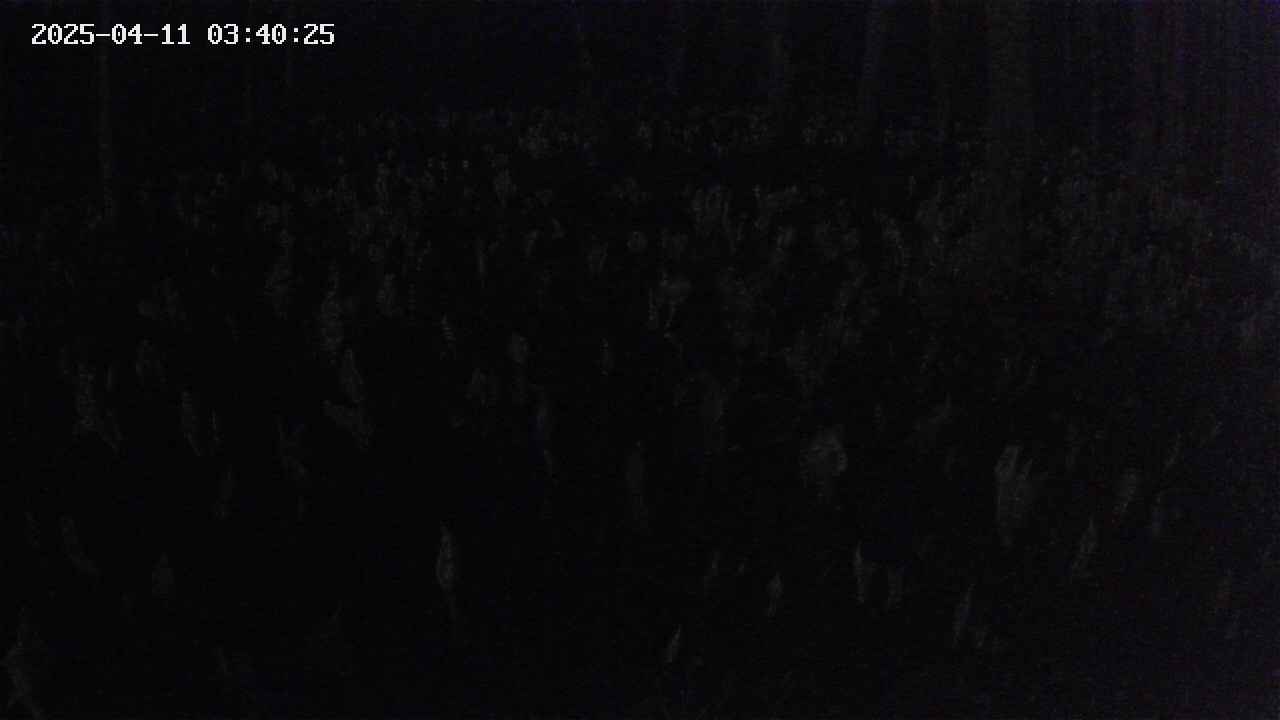 mizubasho2-20250411034026.jpg