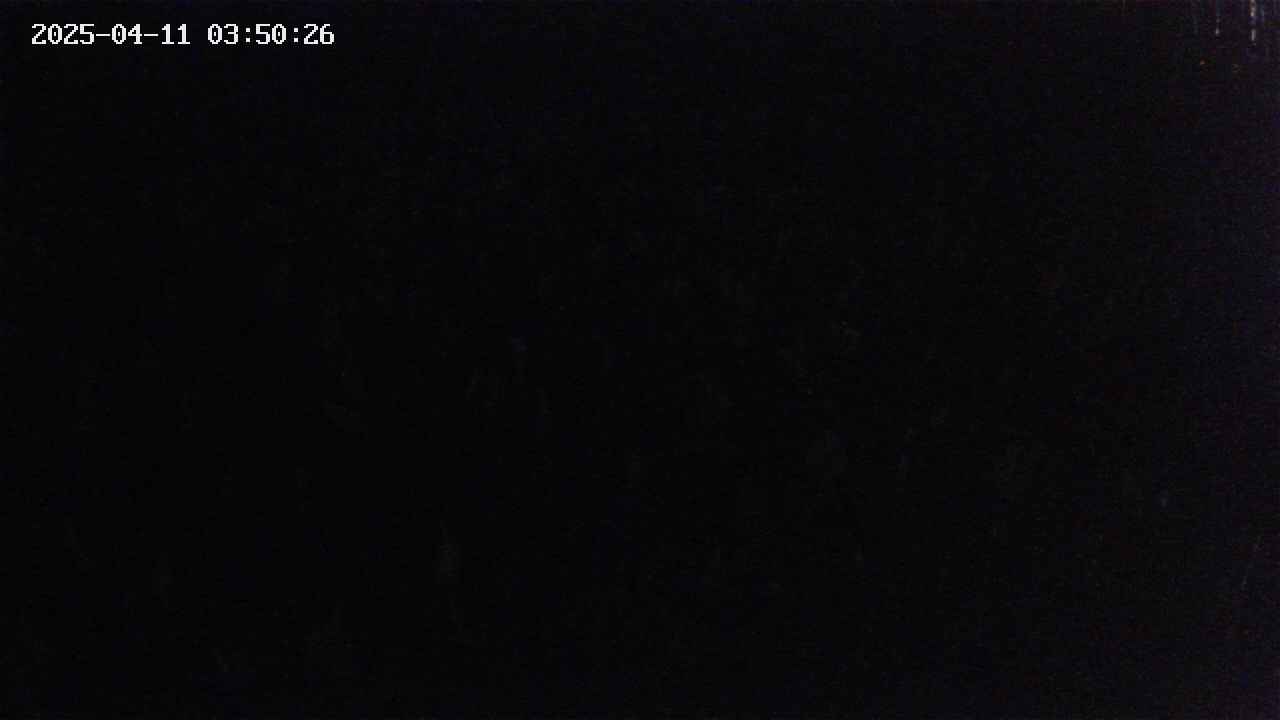 mizubasho2-20250411035027.jpg