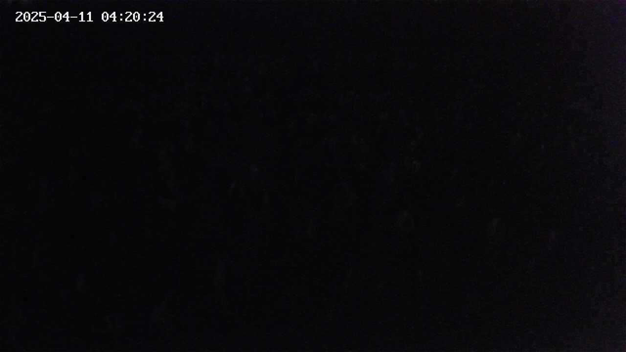 mizubasho2-20250411042026.jpg