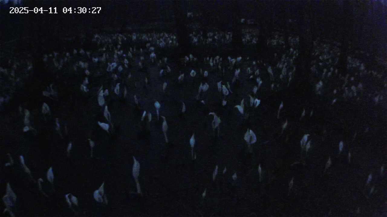 mizubasho2-20250411043028.jpg