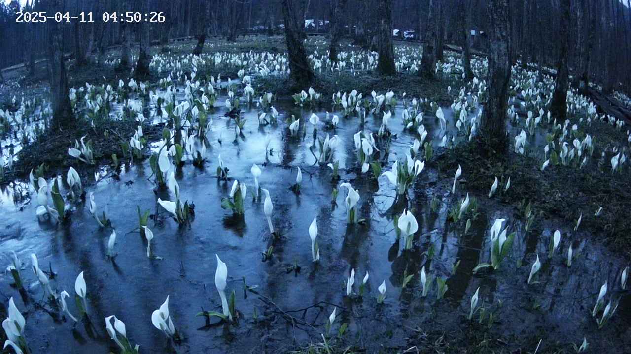 mizubasho2-20250411045028.jpg