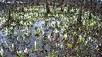 mizubasho2-20250411115030.jpg