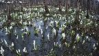 mizubasho2-20250411183029.jpg