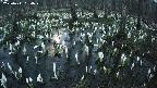 mizubasho2-20250411184027.jpg