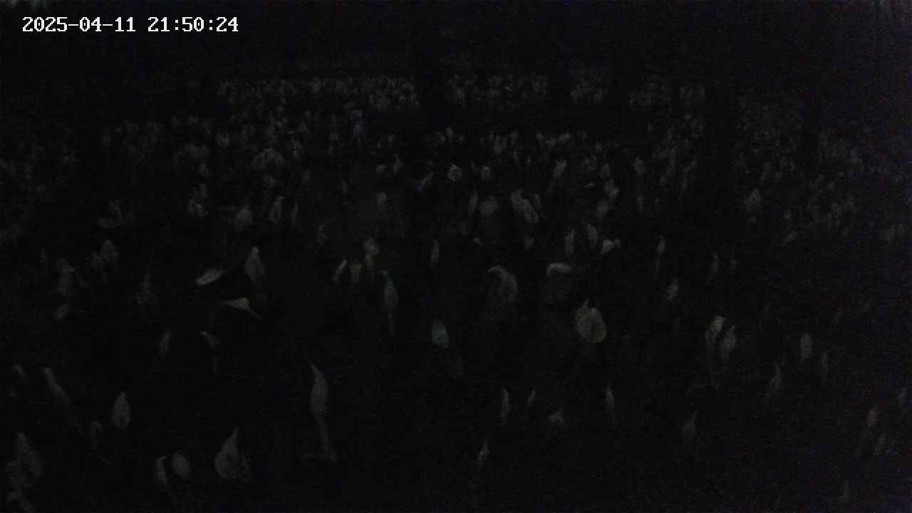 mizubasho2-20250411215025.jpg