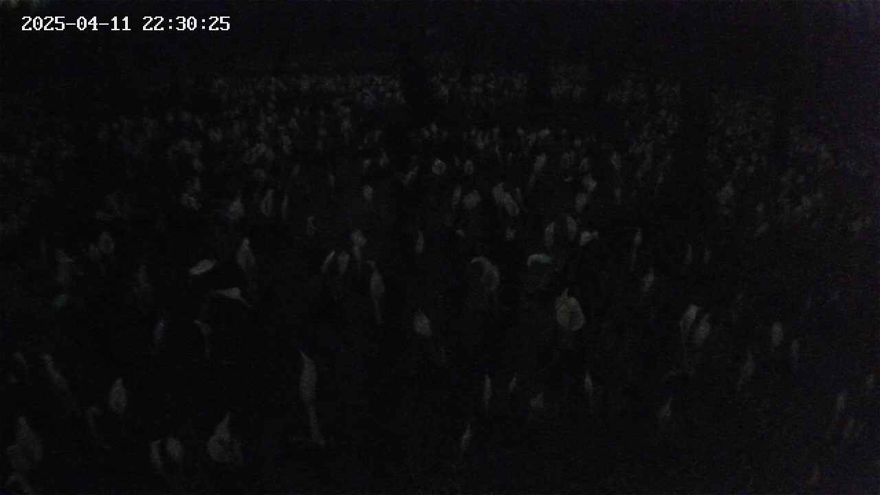 mizubasho2-20250411223026.jpg