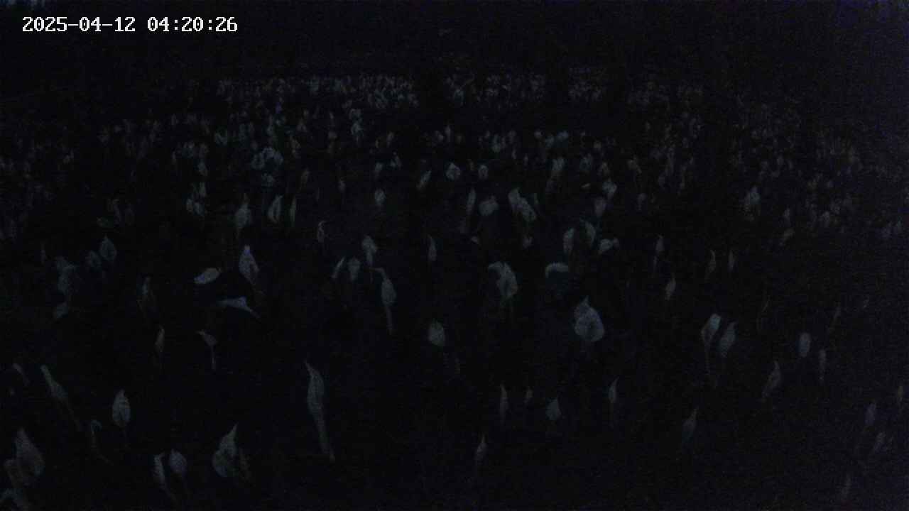 mizubasho2-20250412042026.jpg