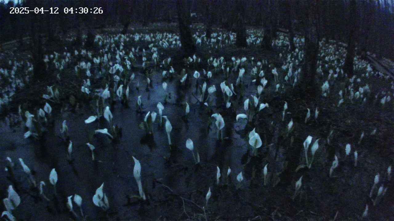 mizubasho2-20250412043027.jpg
