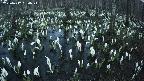 mizubasho2-20250412184026.jpg