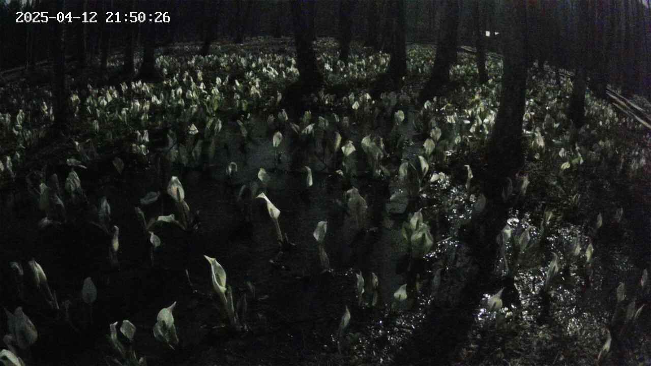 mizubasho2-20250412215027.jpg