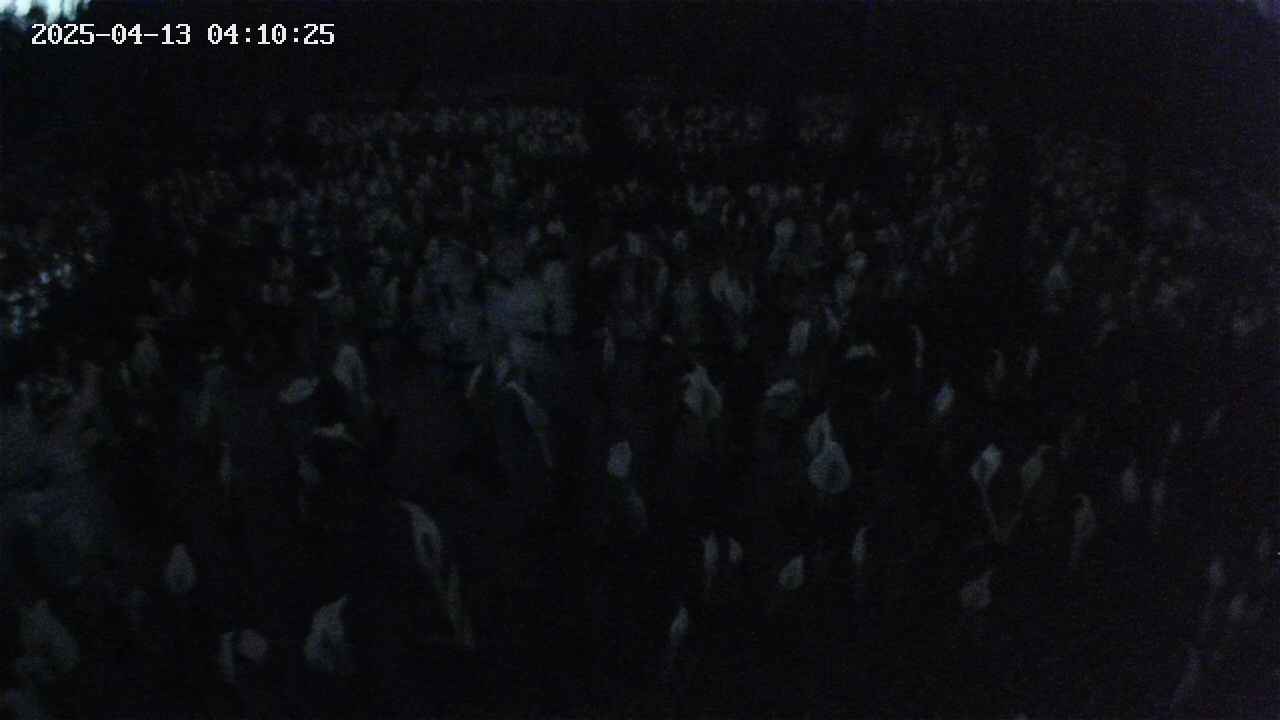 mizubasho2-20250413041026.jpg