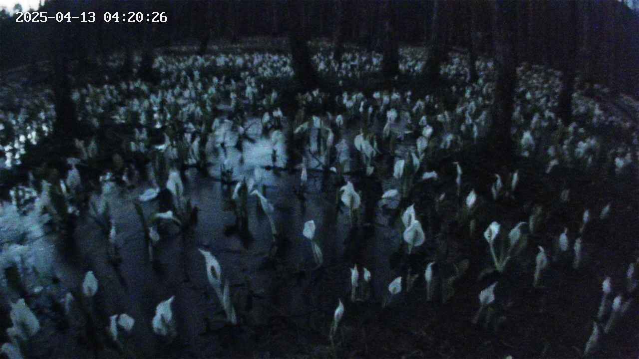mizubasho2-20250413042028.jpg