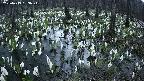 mizubasho2-20250413183026.jpg