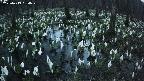 mizubasho2-20250413184025.jpg