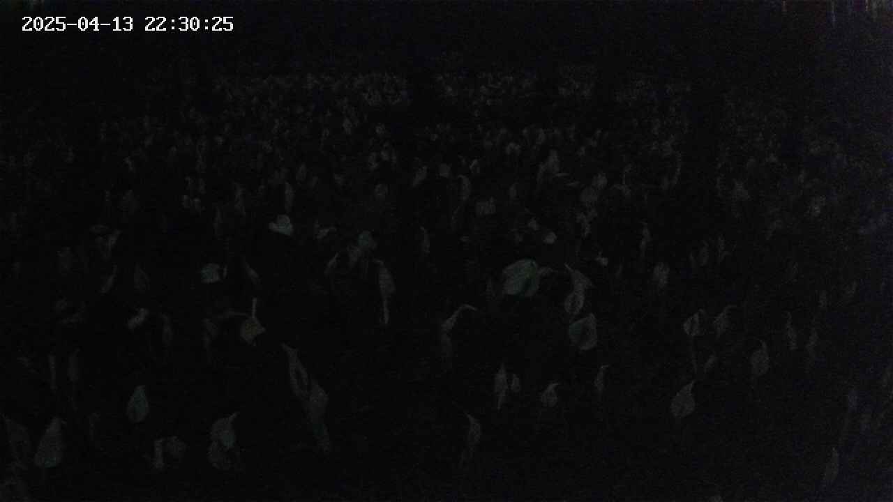 mizubasho2-20250413223027.jpg