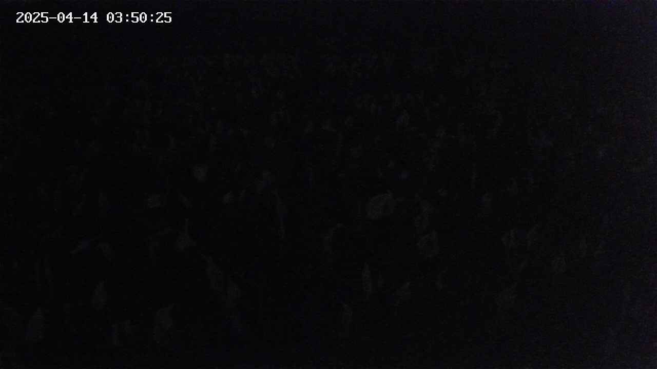 mizubasho2-20250414035026.jpg