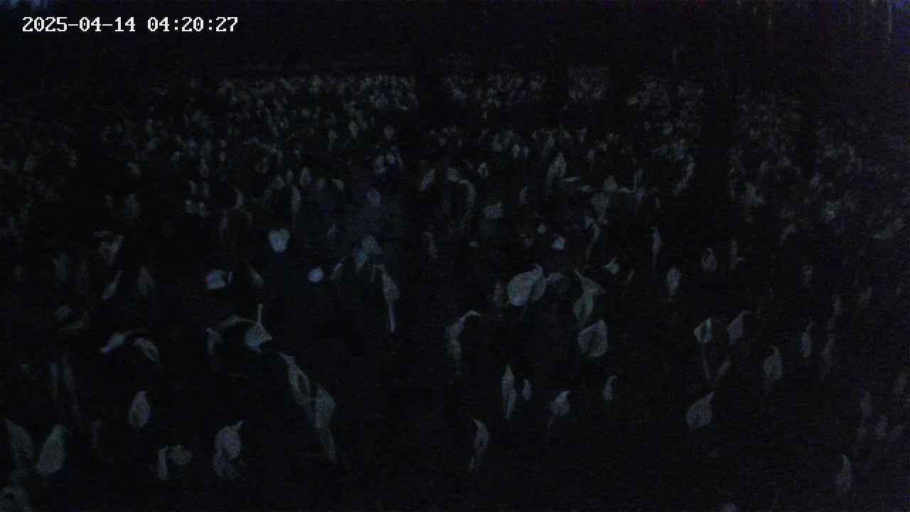 mizubasho2-20250414042028.jpg