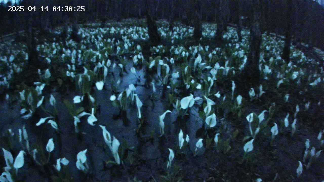 mizubasho2-20250414043026.jpg