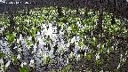 mizubasho2-20250414080028.jpg