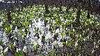 mizubasho2-20250414082027.jpg
