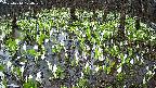mizubasho2-20250414174028.jpg