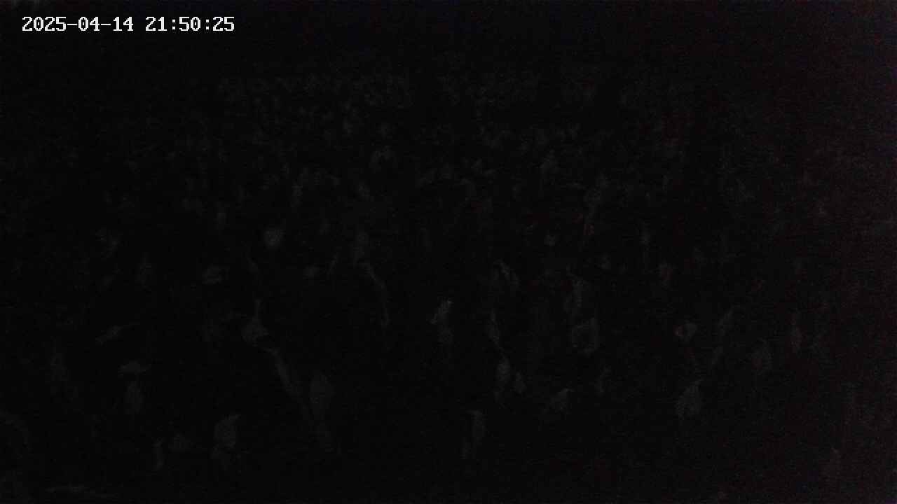 mizubasho2-20250414215026.jpg