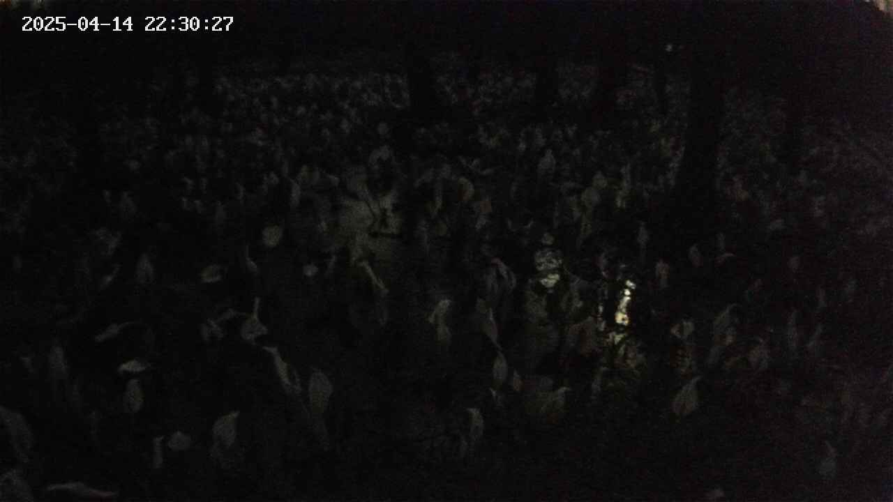 mizubasho2-20250414223028.jpg