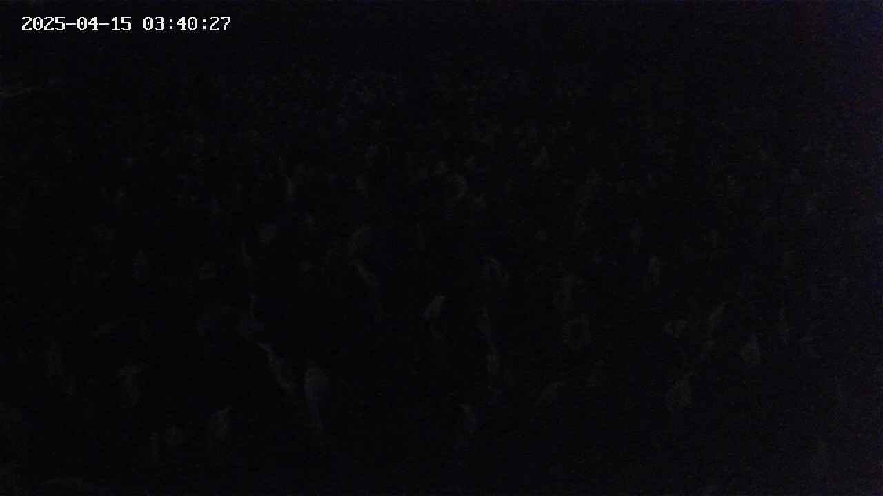 mizubasho2-20250415034028.jpg